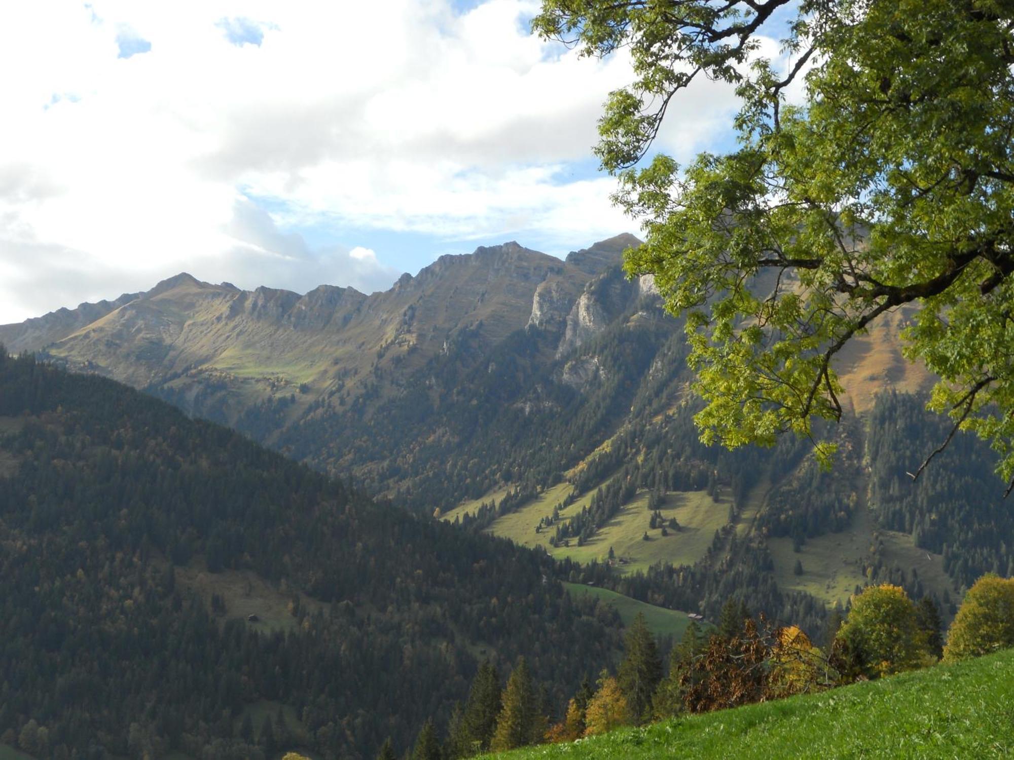 Bauernhaus Gschwend Gsteig Luaran gambar